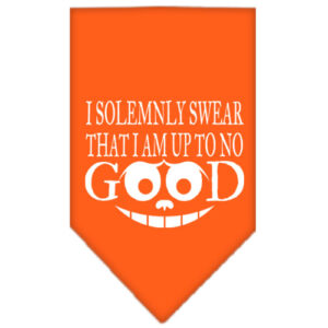Up To No Good Screen Print Bandana Orange Large