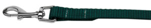Plain Nylon Pet Leash 5/8in By 6ft Green
