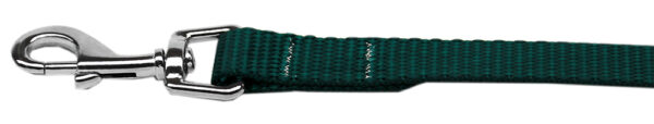 Plain Nylon Pet Leash 5/8in By 6ft Green