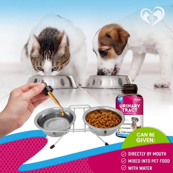 Cat & Dog Urinary Tract Infection Treatment & Natural UTI Medicine Cranberry Kidney Bladder Support Supplement   Best Prevention Incontinence Bladder Stones   Pet Renal Health & UTI Care Drops - Image 4