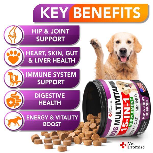 Dog Multivitamin Chewable with Glucosamine   Dog Vitamins and Supplements   Senior & Puppy Multivitamin for Dogs   Pet Joint Support Health   Immunity   Mobility   Energy   Gut   Skin   120 Chews - Image 2
