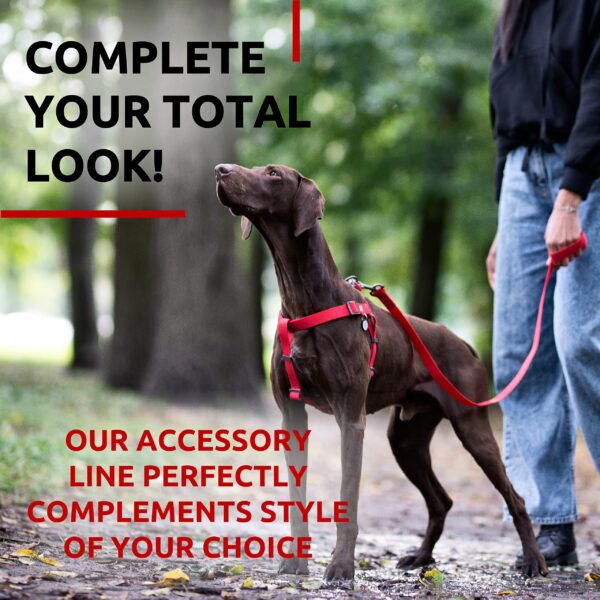 WAUDOG Waterproof Dog Leash 4 Ft   6 Ft   Anti Slip Dog Leash for Large Dogs Small and Medium Dogs   Heavy Duty Dog Leash with Water and Dirt Resistant   Long Or Short Dog Leashes for Boy & Girl Dogs - Image 6