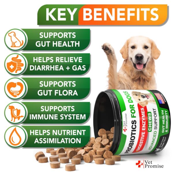 Probiotics for Dogs   Dog Probiotics and Digestive Enzymes for Gut Health Itchy Skin Allergies Immunity Yeast Balance   Prebiotics   Reduce Diarrhea Gas   120 Probiotic Chews for Dogs   USA Made - Image 2