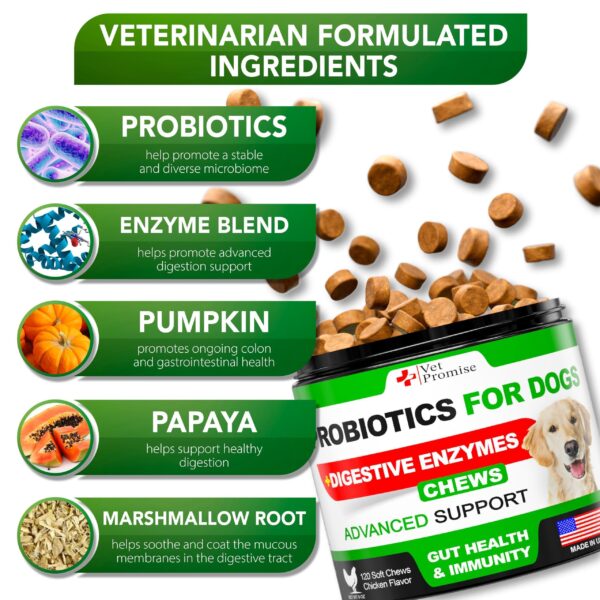 Probiotics for Dogs   Dog Probiotics and Digestive Enzymes for Gut Health Itchy Skin Allergies Immunity Yeast Balance   Prebiotics   Reduce Diarrhea Gas   120 Probiotic Chews for Dogs   USA Made - Image 3