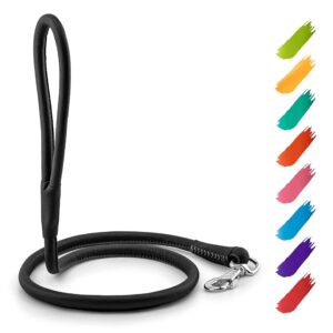 Rolled Leather Dog Leash 4Ft * 0.5 in for Small Medium and Large Dogs   Heavy Duty Leather Puppy Leash for Outdoor Walking Running Training   Strong Dog Leashes for Large Breed Dogs (Black)