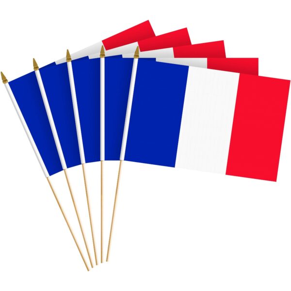 G128 30 Pack Handheld France French Stick Flags | 8x12 In | Printed 150D Polyester Country Flag Solid Wooden Stick Spear Gold Tip