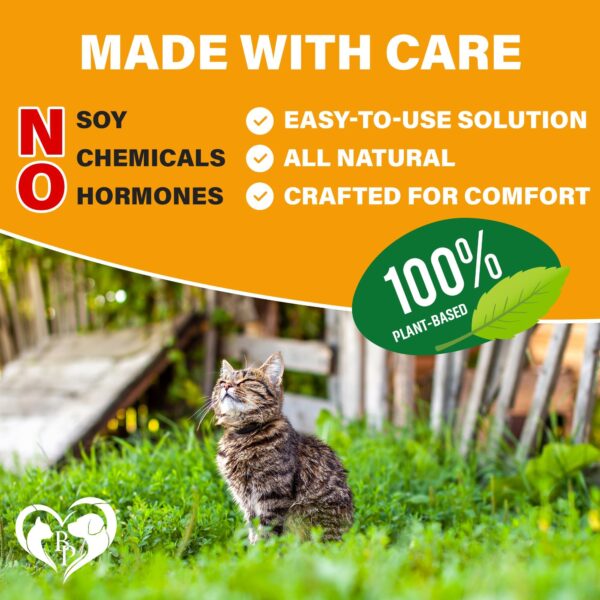 Flea and Tick Prevention Chewable Pills for Dogs and Cats   Revolution Oral Flea Treatment for Pets   Pest Control & Natural Defense   Chewables Small Tablets Made in USA (Chicken (for Cats)) - Image 7