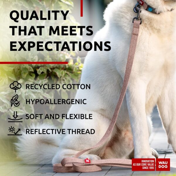 Recycled Cotton Dog Leash 6 Ft   10 Ft Eco Friendly Collar for Small Medium & Large Dogs   Reflective Dog Leash for Medium Dogs   Strong Leashes for Large Breed Dogs Puppy Leash for Small Dogs - Image 4