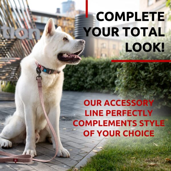 Recycled Cotton Dog Leash 6 Ft   10 Ft Eco Friendly Collar for Small Medium & Large Dogs   Reflective Dog Leash for Medium Dogs   Strong Leashes for Large Breed Dogs Puppy Leash for Small Dogs - Image 6
