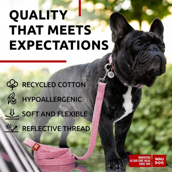 Recycled Cotton Dog Leash 6 Ft   10 Ft Eco Friendly Collar for Small Medium & Large Dogs   Reflective Dog Leash for Medium Dogs   Strong Leashes for Large Breed Dogs Puppy Leash for Small Dogs - Image 4