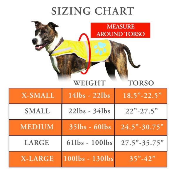 Dog Reflective Vest Sizes to Fit Dogs 14 lbs to 130 lbs    Hi Vis Safety Vest Keeps Dogs Visible On and Off Leash in Both Urban and Rural Environments. (X Small) - Image 2