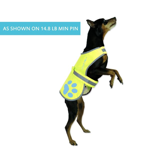Dog Reflective Vest Sizes to Fit Dogs 14 lbs to 130 lbs    Hi Vis Safety Vest Keeps Dogs Visible On and Off Leash in Both Urban and Rural Environments. (X Small) - Image 4
