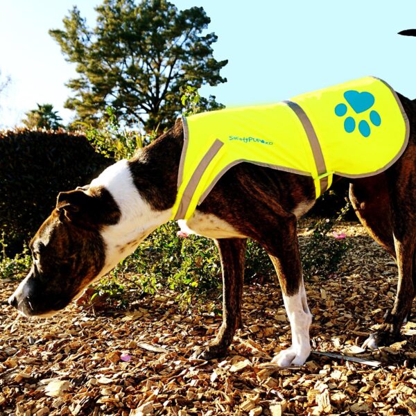 Dog Reflective Vest Sizes to Fit Dogs 14 lbs to 130 lbs    Hi Vis Safety Vest Keeps Dogs Visible On and Off Leash in Both Urban and Rural Environments. (X Small) - Image 6