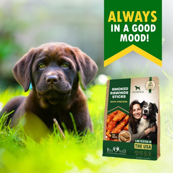 Dog Smoked Rawhide Sticks Wrapped Chicken & Pet Natural Chew Treats   Grain Free Organic Meat & Healthy Human Grade Dried Snacks in Bulk   Best Twists for Training Small & Large Dogs   Made for USA - Image 8