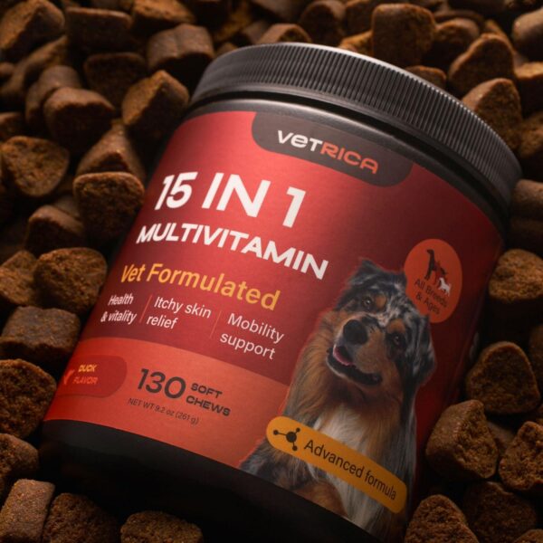 Dog Multivitamin Chews   Dog Vitamins 15 in 1   Joint Supplement for Dogs   Dog Vitamins & Supplements for Hip & Joint Immune System Glucosamine Chondroitin   Coat & Mobility   Itchy Skin Support - Image 9