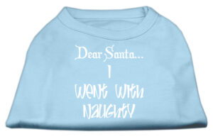 Dear Santa I Went With Naughty Screen Print Shirts Baby Blue Xxl