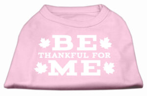 Be Thankful For Me Screen Print Shirt Light Pink Xl (16)