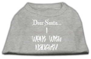 Dear Santa I Went With Naughty Screen Print Shirts Grey Med