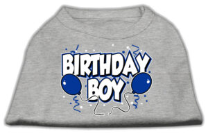Birthday Boy Screen Print Shirts Grey Xl