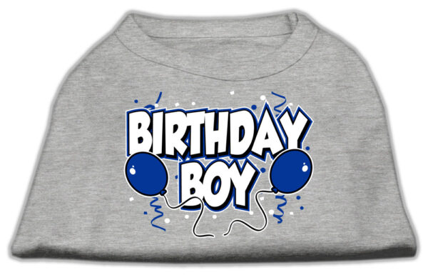 Birthday Boy Screen Print Shirts Grey Xl