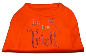 I'm The Trick Rhinestone Dog Shirt Orange Xl (16)