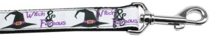 Witch And Famous Nylon Dog Leash 6 Foot