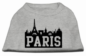 Paris Skyline Screen Print Shirt Grey Xl
