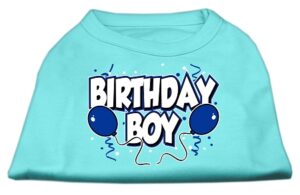 Birthday Boy Screen Print Shirts Aqua Xs