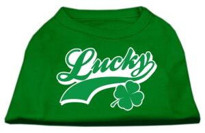 Lucky Swoosh Screen Print Shirt Emerald Green Xxl (18)