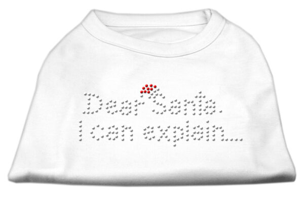 Dear Santa I Can Explain Rhinestone Shirts White Xs