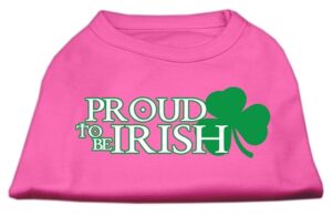 Proud To Be Irish Screen Print Shirt Bright Pink Xs