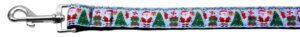 Aqua Santa Nylon Ribbon Pet Leash 1 Wide 4ft