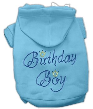 Birthday Boy Hoodies Baby Blue Xxl (18)