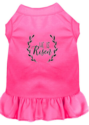 He Is Risen Screen Print Dog Dress Bright Pink Xl (16)