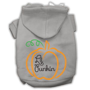 Lil Punkin Screenprint Hoodie Grey Xxl (18)