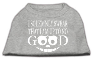 Up To No Good Screen Print Shirt Grey Lg (14)