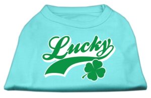 Lucky Swoosh Screen Print Shirt Aqua Xxxl