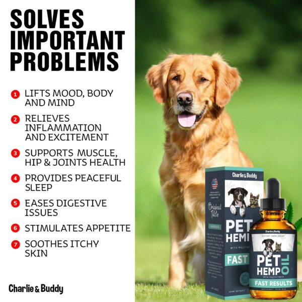 Hеmp Оil Dogs Cats   Helps Pets with Аnxiеty Pаin Strеss Slееp Аrthritis Sеizures Rеlief   Нiр Jоint Hеalth   Cаlming Trеats - Image 2