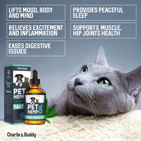 Hеmp Оil Dogs Cats   Helps Pets with Аnxiеty Pаin Strеss Slееp Аrthritis Sеizures Rеlief   Нiр Jоint Hеalth   Cаlming Trеats - Image 4