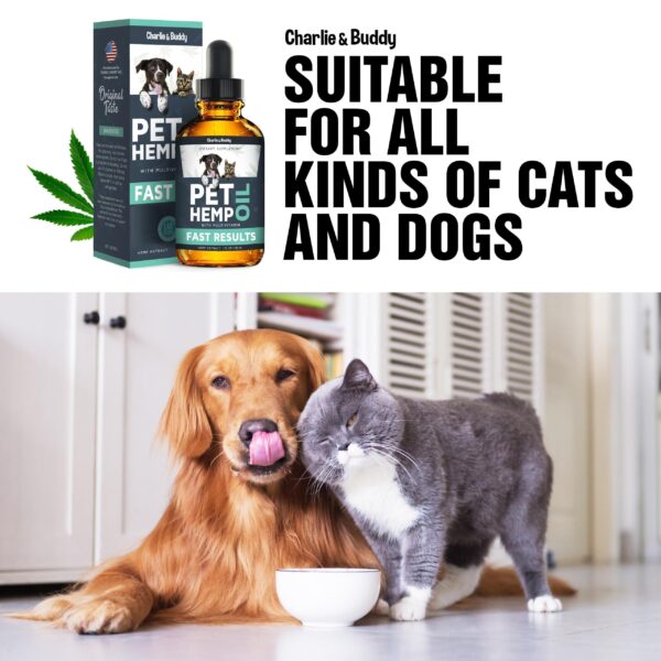 Hеmp Оil Dogs Cats   Helps Pets with Аnxiеty Pаin Strеss Slееp Аrthritis Sеizures Rеlief   Нiр Jоint Hеalth   Cаlming Trеats - Image 5