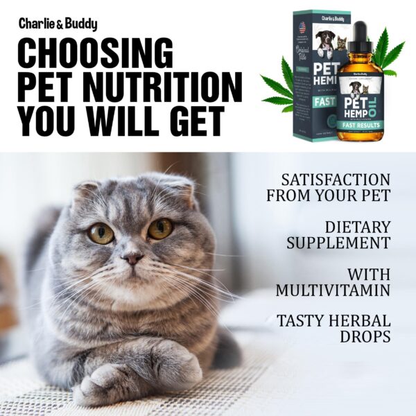 Hеmp Оil Dogs Cats   Helps Pets with Аnxiеty Pаin Strеss Slееp Аrthritis Sеizures Rеlief   Нiр Jоint Hеalth   Cаlming Trеats - Image 8