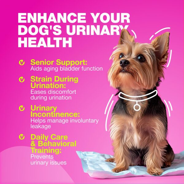 Dog UTI Treatment   Dog Cranberry Supplement for Urinary Tract Bladder & Kidney Health Incontinence Support   Bladder Control Cranberry Chews   Cranberry Supplement for Dog Incontinence - Image 3