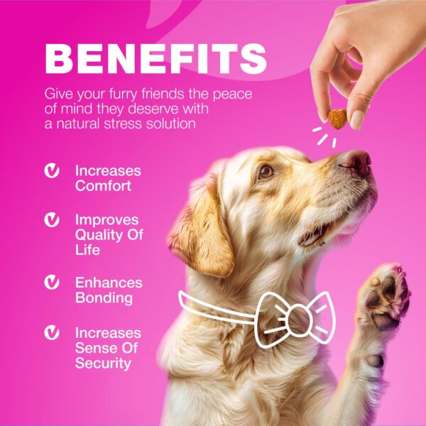 Dog UTI Treatment   Dog Cranberry Supplement for Urinary Tract Bladder & Kidney Health Incontinence Support   Bladder Control Cranberry Chews   Cranberry Supplement for Dog Incontinence - Image 8