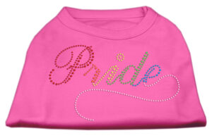 Rainbow Pride Rhinestone Shirts Bright Pink Xs