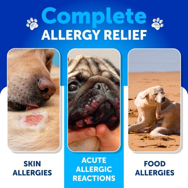 Dog Allergy Relief Chews   Itching Skin Relief for Dogs   Fish Oil   Omega 3   Seasonal Allergies Pills   Skin & Coat Anti ItchHot Spots Treatment   Canine Immune Health Supplement   180 Soft Treats - Image 3