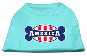 Bonely In America Screen Print Shirt Aqua Lg (14)