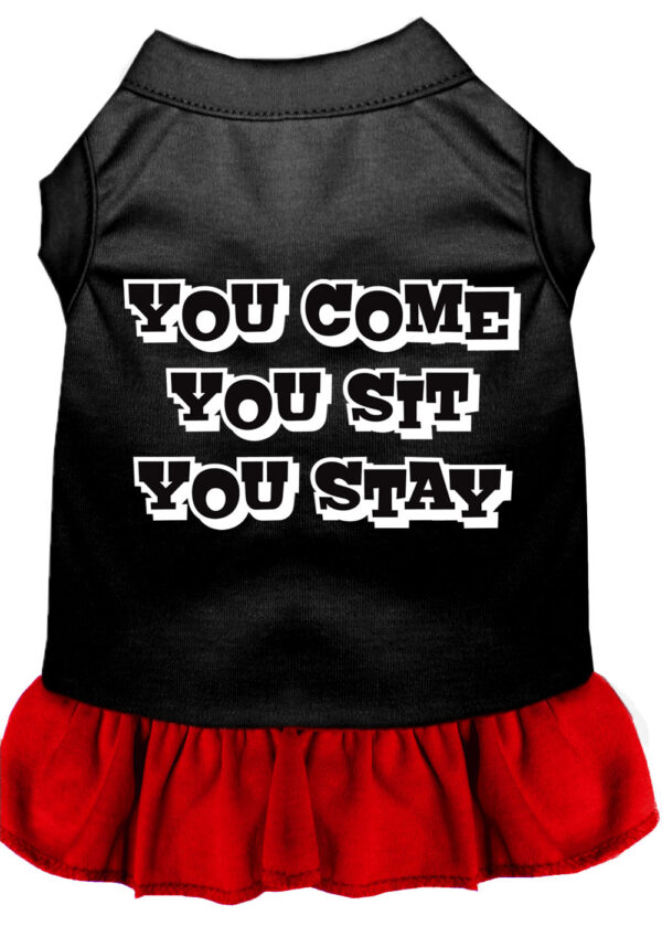 You Come, You Sit, You Stay Screen Print Dress Black With Red Med (12)