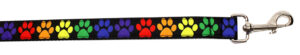 Rainbow Paws Nylon Pet Leash 5/8in By 4ft