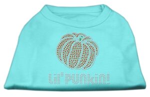 Lil' Punkin' Rhinestone Shirts Aqua Xxl
