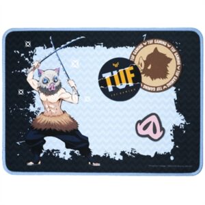 NC15 TUF GAMING P1 DS HI
